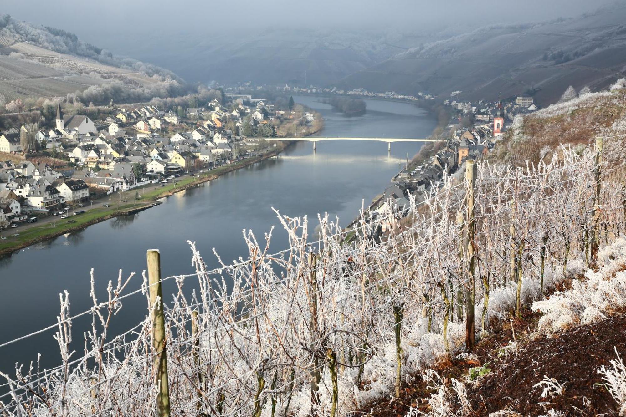 Ferienwohnung Ankerplatz Zell an der Mosel Ngoại thất bức ảnh